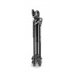 Manfrotto 290 LIGHT Kit, Alu 3 sec. tripod with ball head MK290LTA3-BH